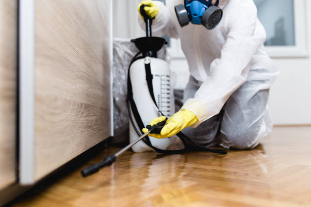 Best Best Pest Control Companies  in Everson, WA