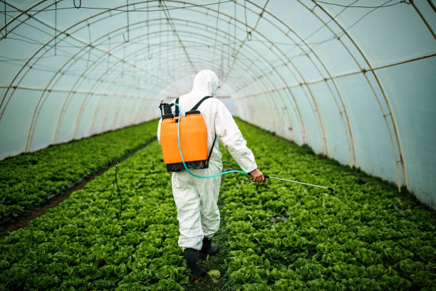 Best Mosquito Control Services  in Everson, WA