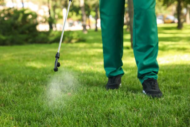 Best Pest Control for Homes  in Everson, WA