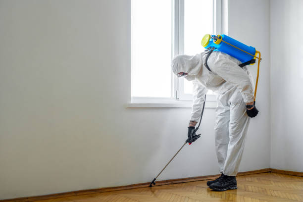 Best Best Pest Control Companies  in Everson, WA
