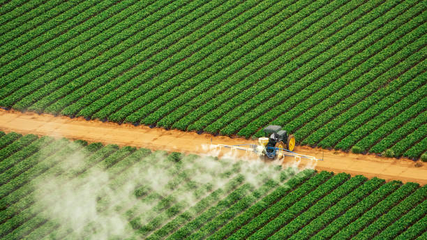 Best Insect Control  in Everson, WA