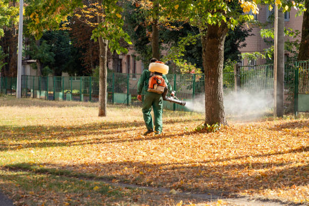 Best Termite Control Services  in Everson, WA